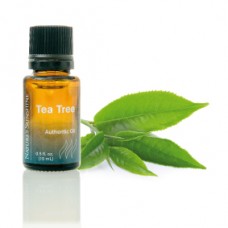 Essential Oil - Tea Tree